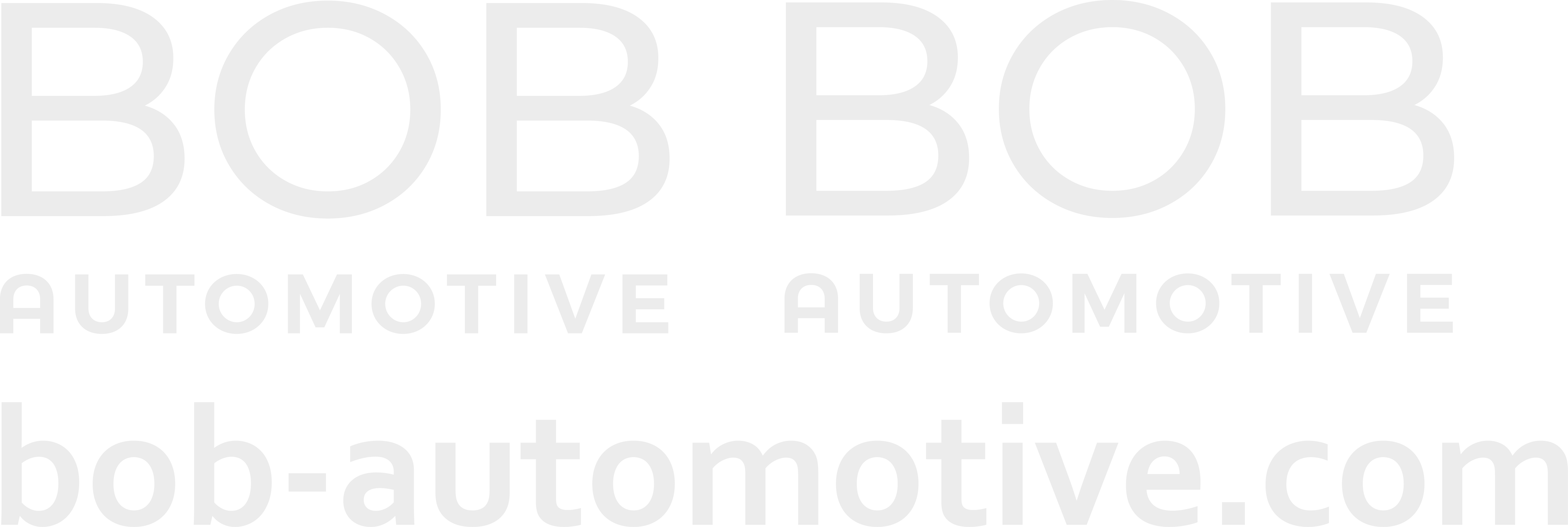 bob01 Fahrzeugbeklebung BOB Automotive weiss