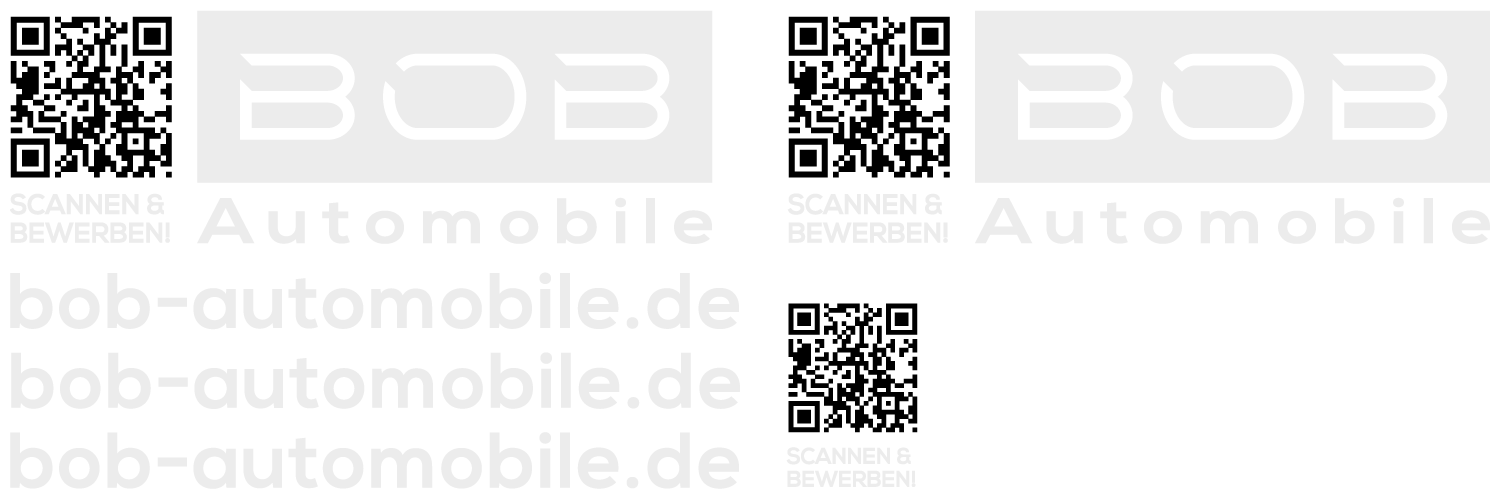 bob04 Fahrzeugbeklebung BOB Automobile weiss